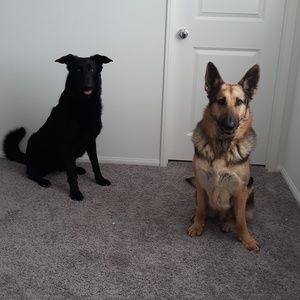 Meet your Posher, Houssna